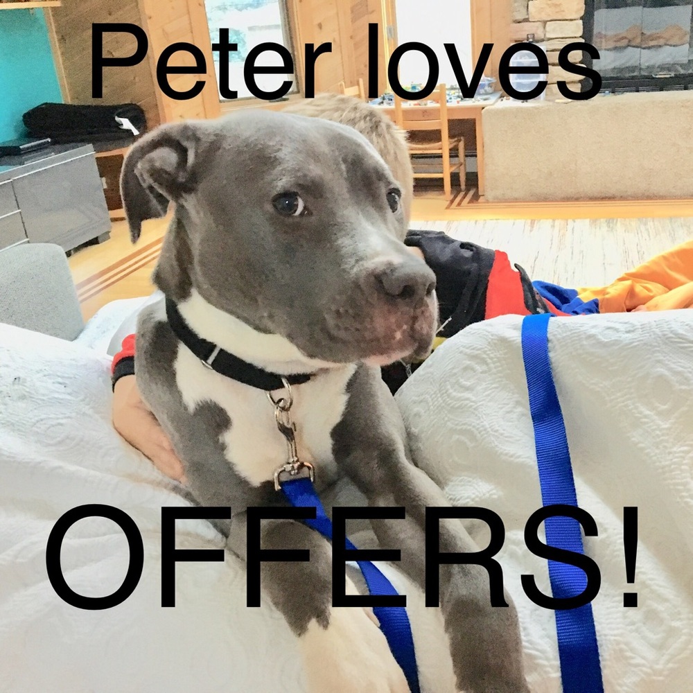 PETE LOVES OFFERS! 🏂🛹❤️